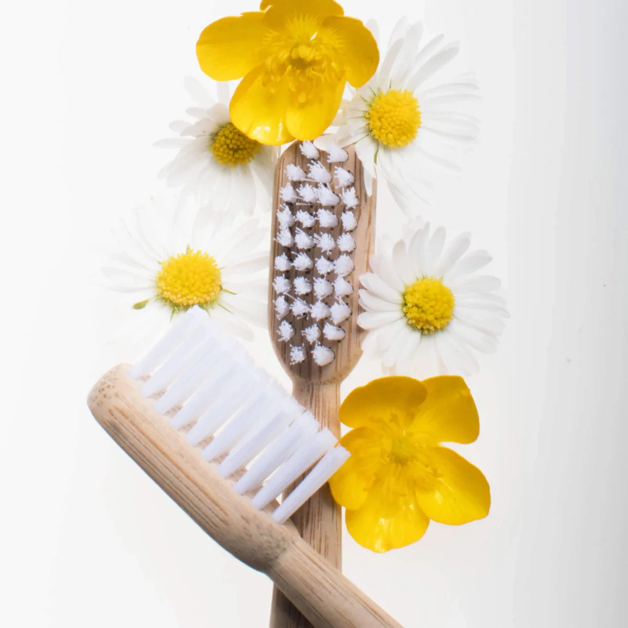 Bamboo Toothbrushes | 2-pack & 4-pack
