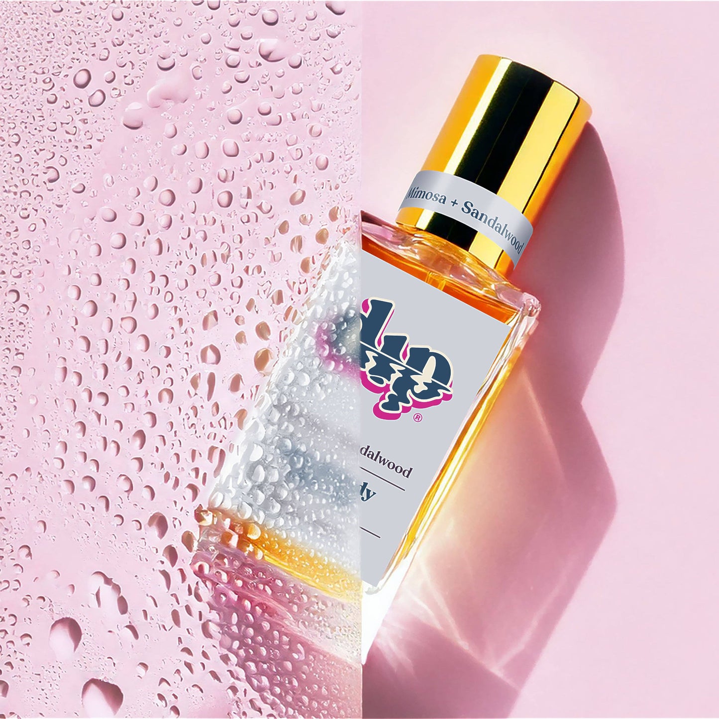 Dip Dry Oil | Hair + Body