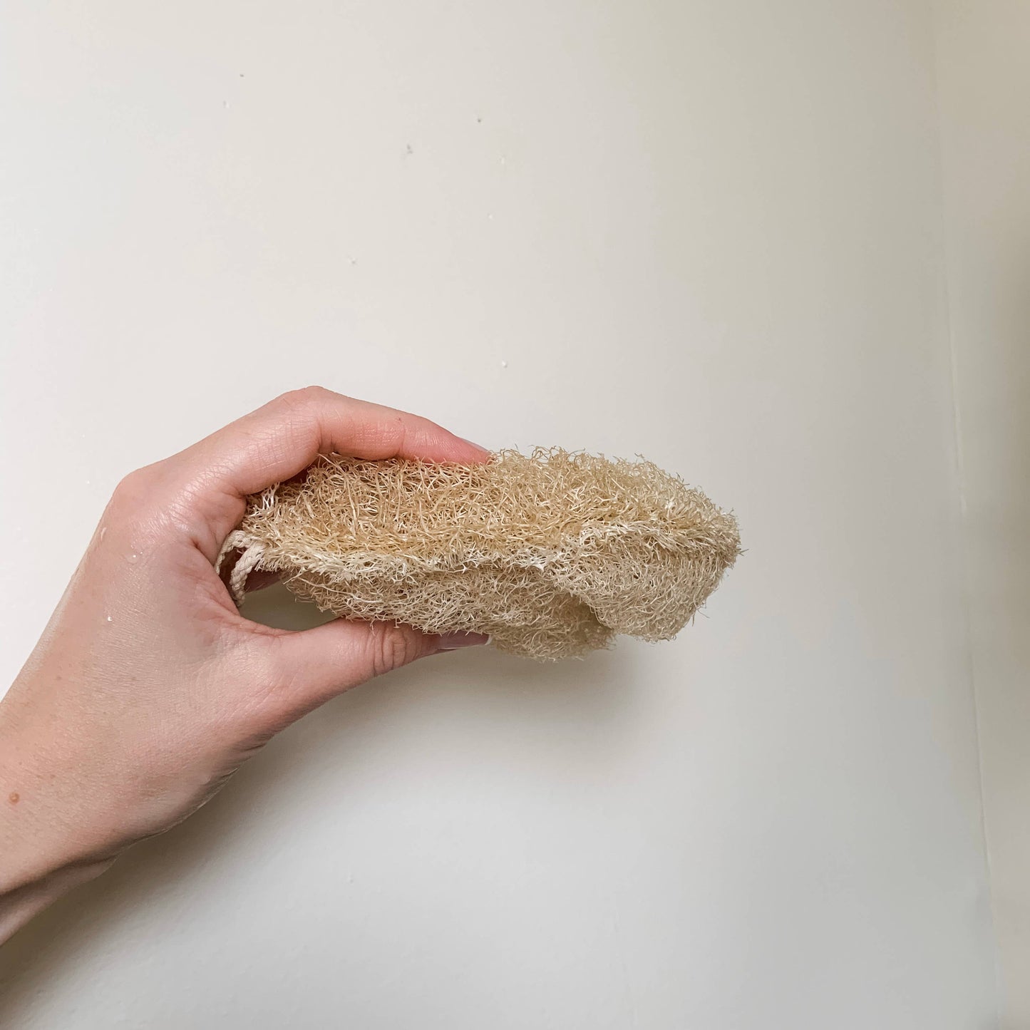 Large Oval Loofah Sponge | Double Layer
