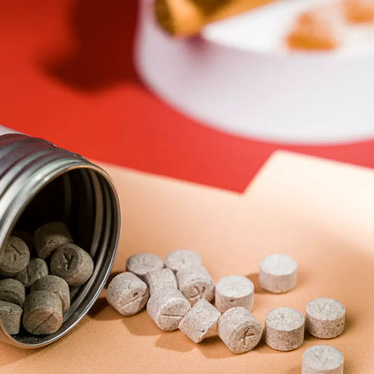 Fluoride Mint Toothpaste Tablets | Kaylaan