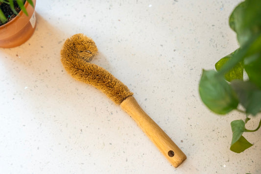 bamboo and plant fibers bottle brush