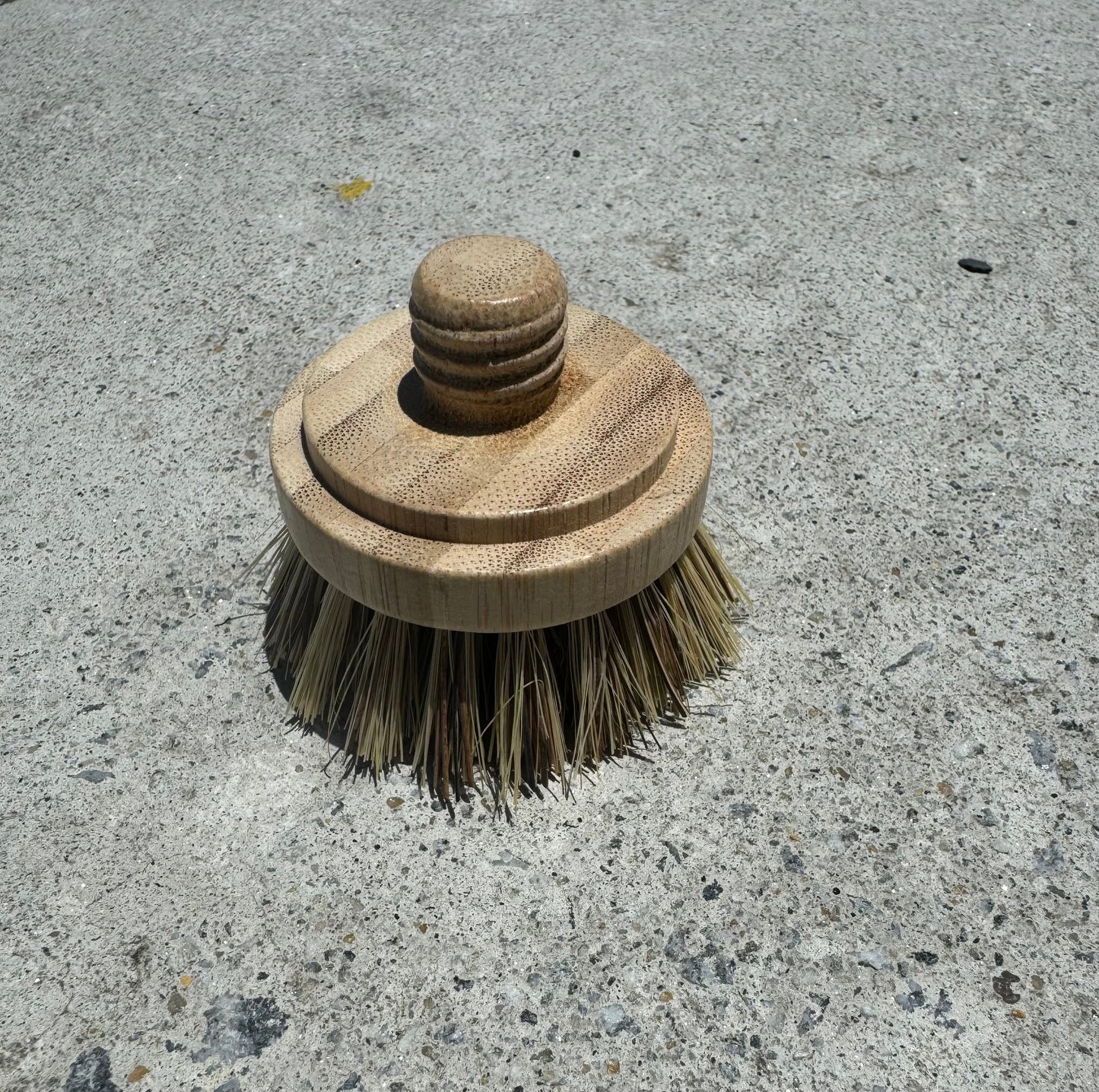 Dish Brush Head | Replacement