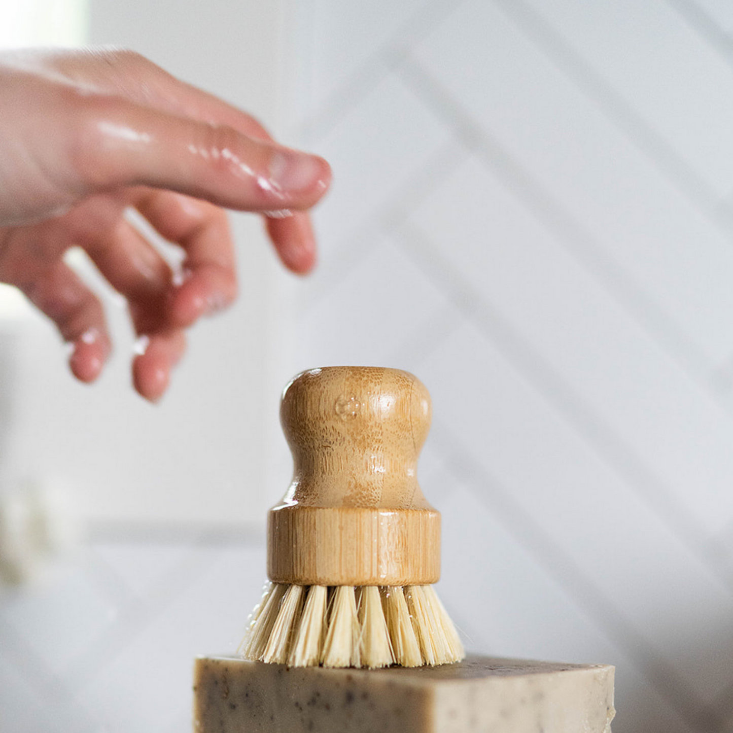 Dish Brush & Pot Scrubber