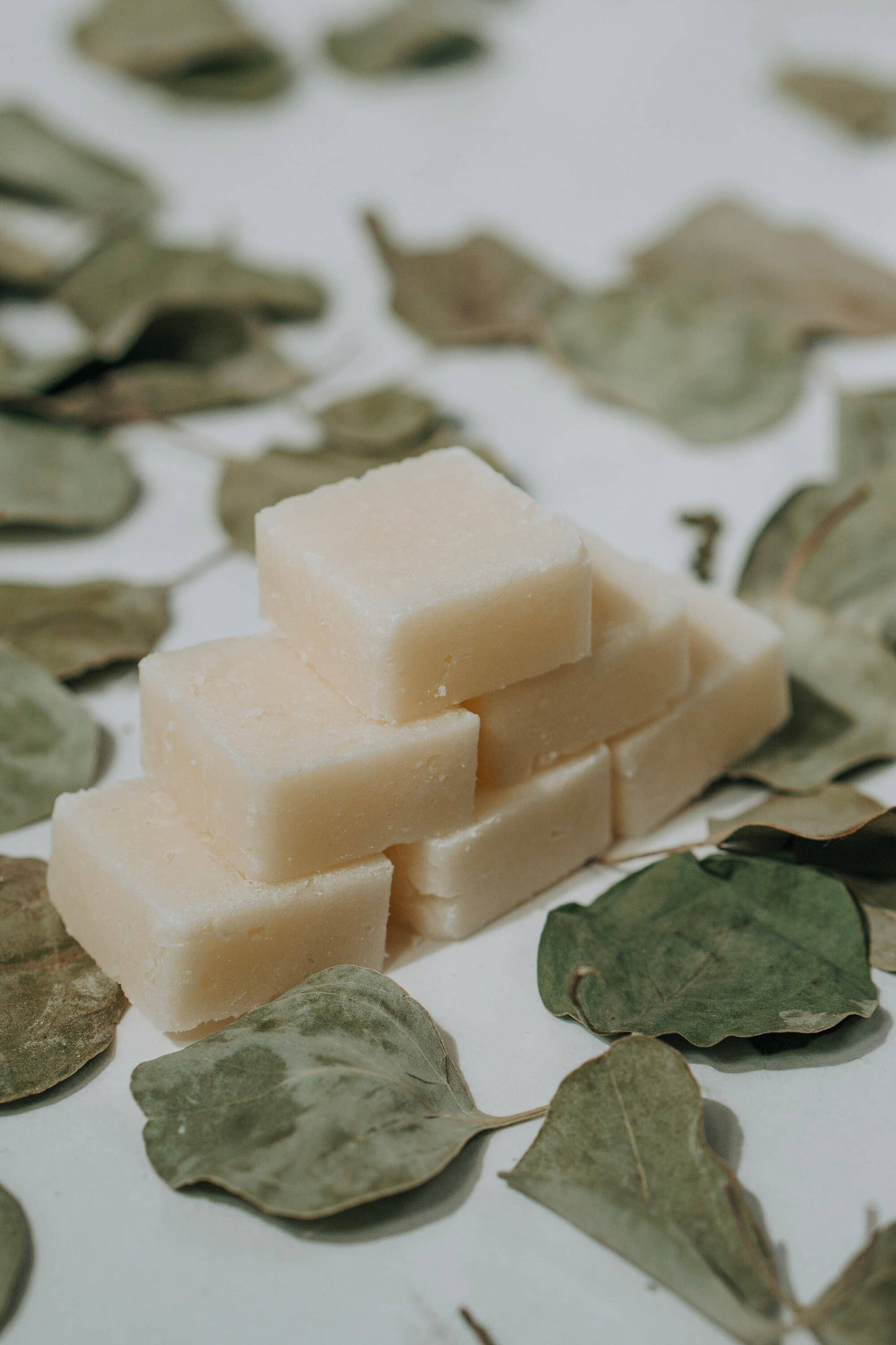Body Scrub Cubes | Travel Size