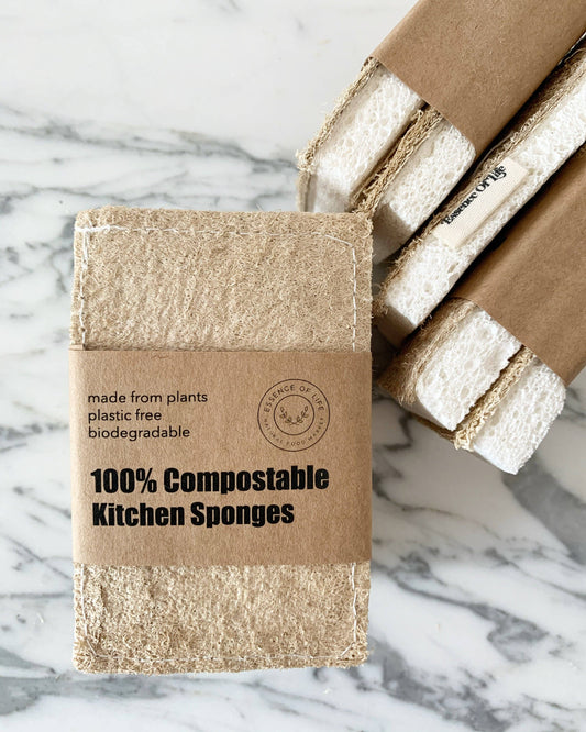 Compostable Kitchen Sponges | 2 pack