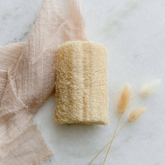 Loofah Sponge | 3 Pack