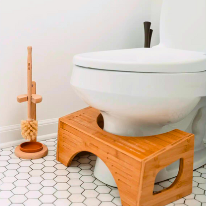 Toilet Brush