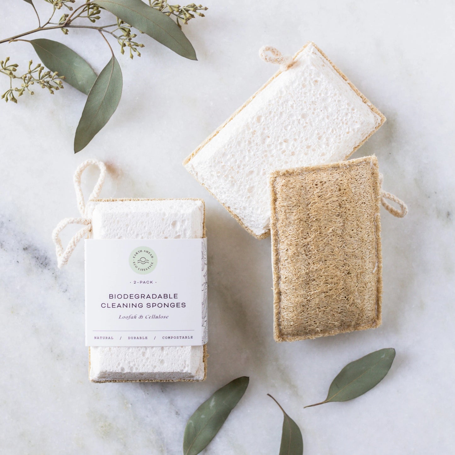 Loofah & Cellulose Cleaning Sponge