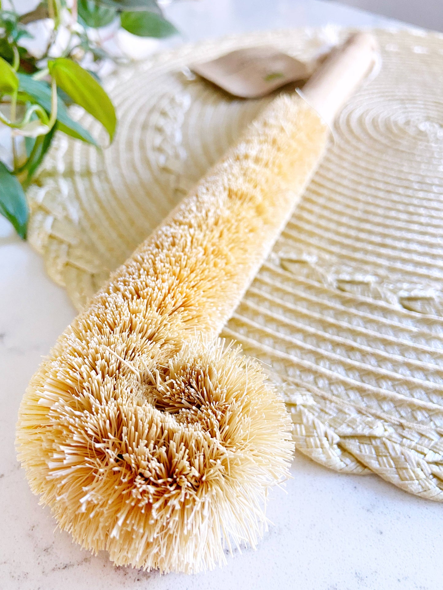 Bottle Cleaning Brush | Long