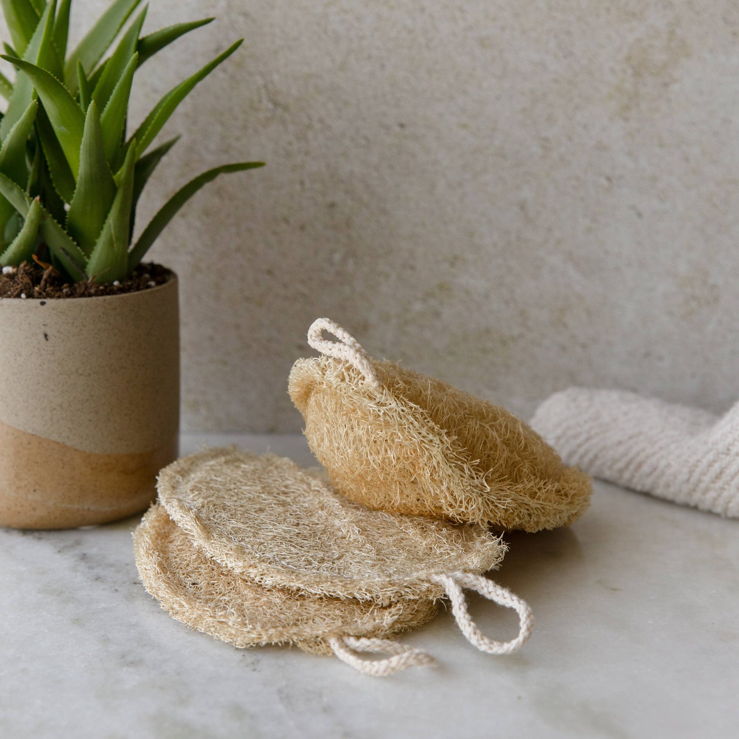 Large Natural Loofah Sponge | Double Layer | 3-pack