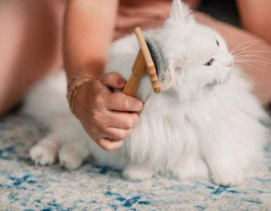 Cat Brush