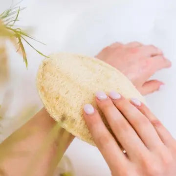 Natural Loofah Sponge