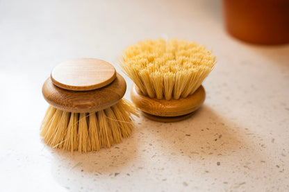 Replacement Head | Long Handle Dish Brush