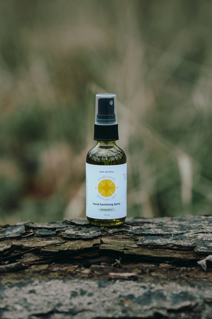 Hand Sanitizer Spray | Unscented | 2 oz