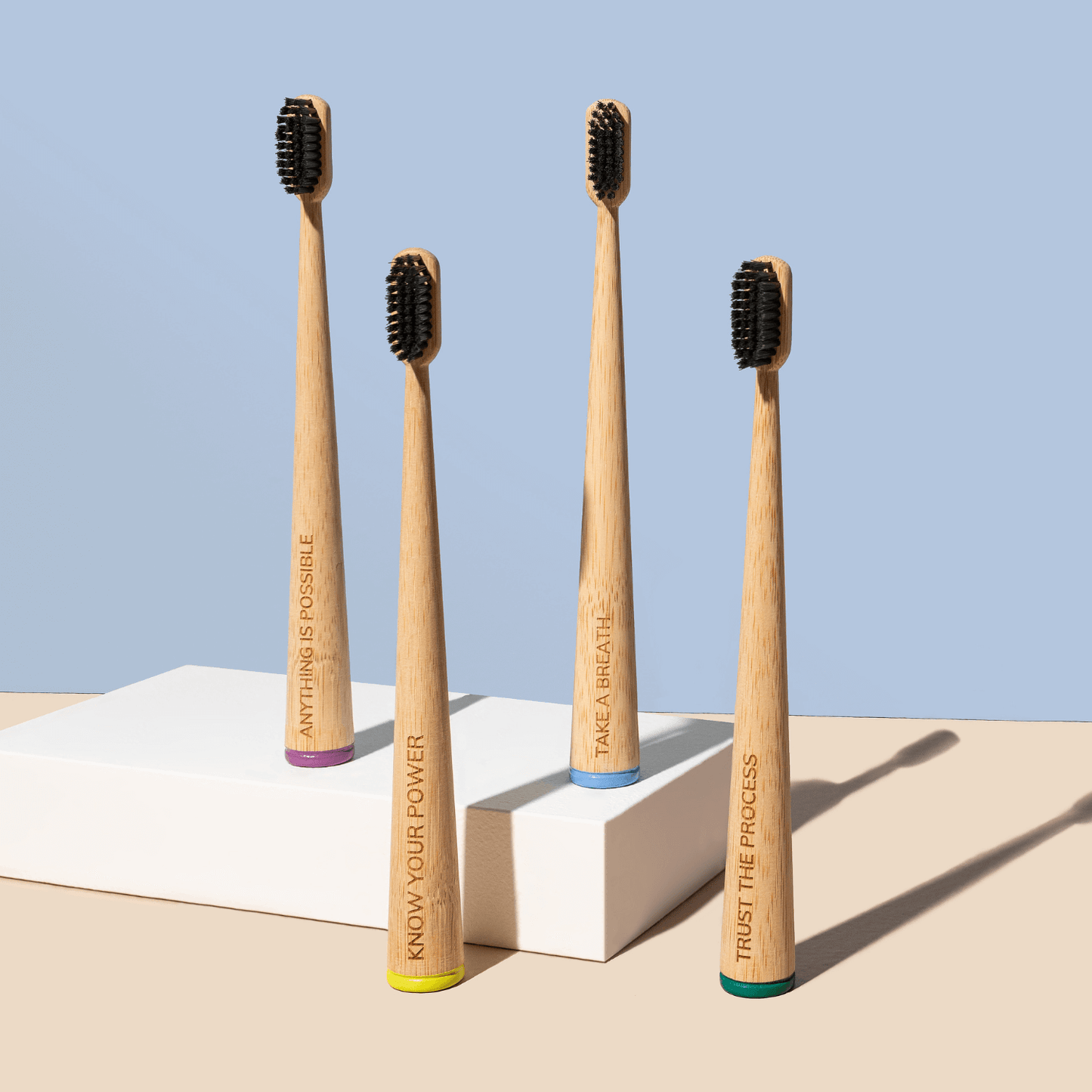 Daily Affirmation Toothbrushes | 4-pack |  Adult Soft