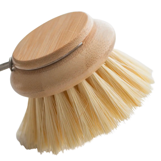 Dish Brush Head | Replacement
