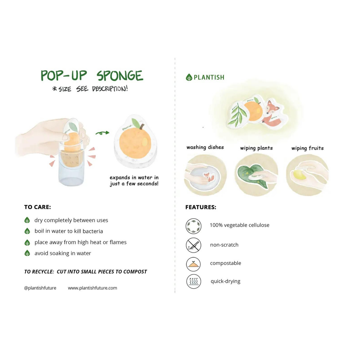Pop-up Sponge