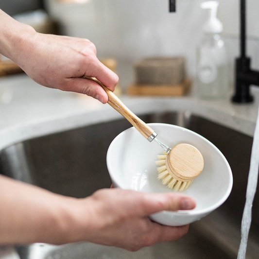 Long-Handled Dish Brush