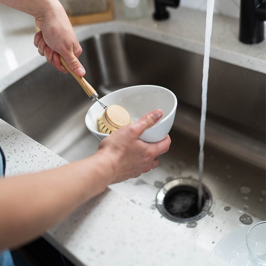 Dish Brush Head | Replacement