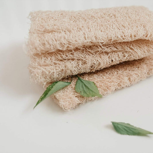 Loofah Sponge | 3 Pack