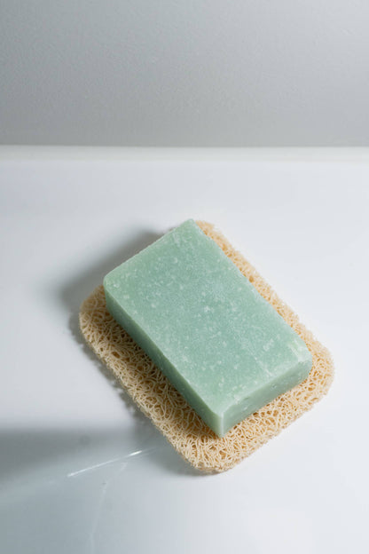 Noodle™ Soap Bar Holder