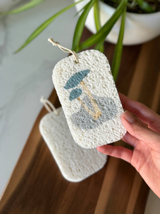 Pop Up Dish Sponges 3-Pack | Compostable