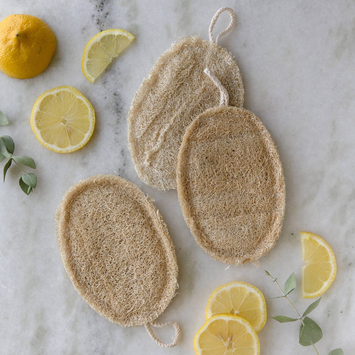 Large Natural Loofah Sponge | Double Layer | 3-pack